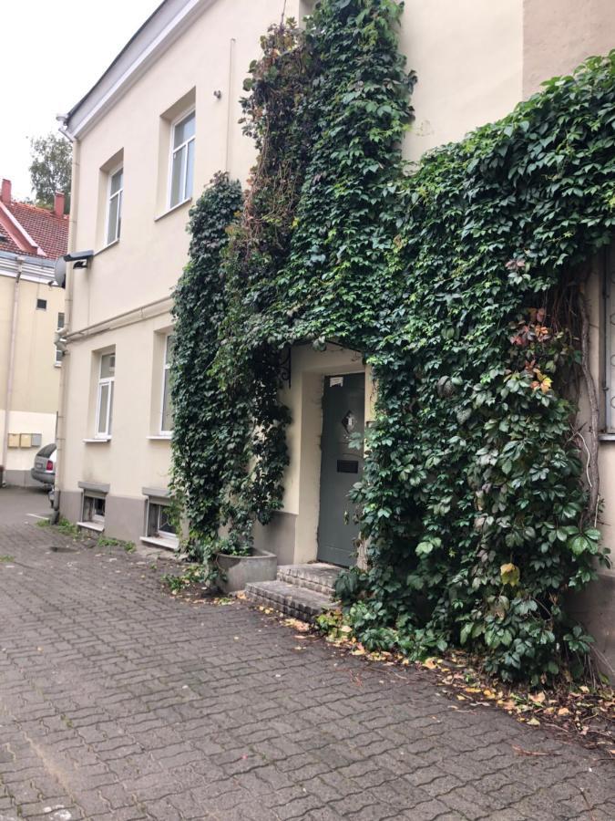 Angel House Vilnius, Dysnos Daire Dış mekan fotoğraf